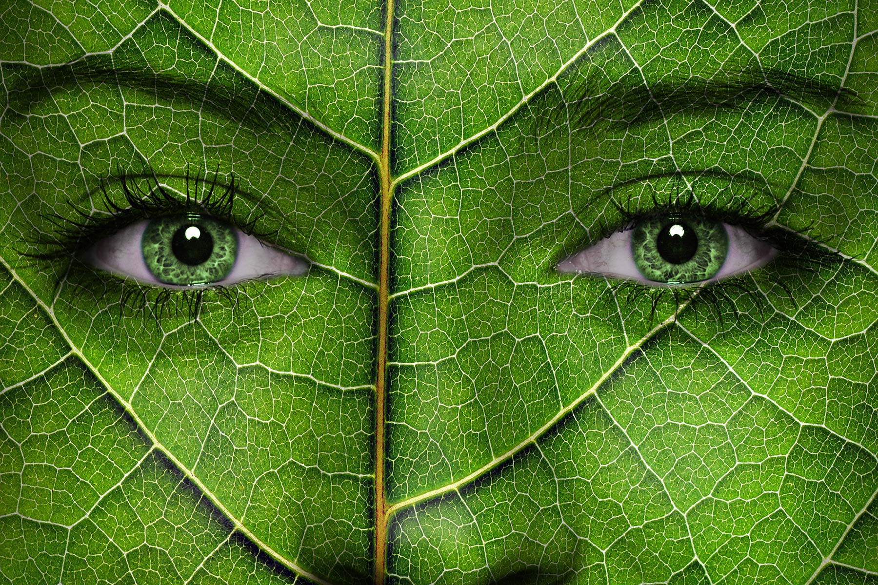 Agrifoodtech illustrert som grønne øyne